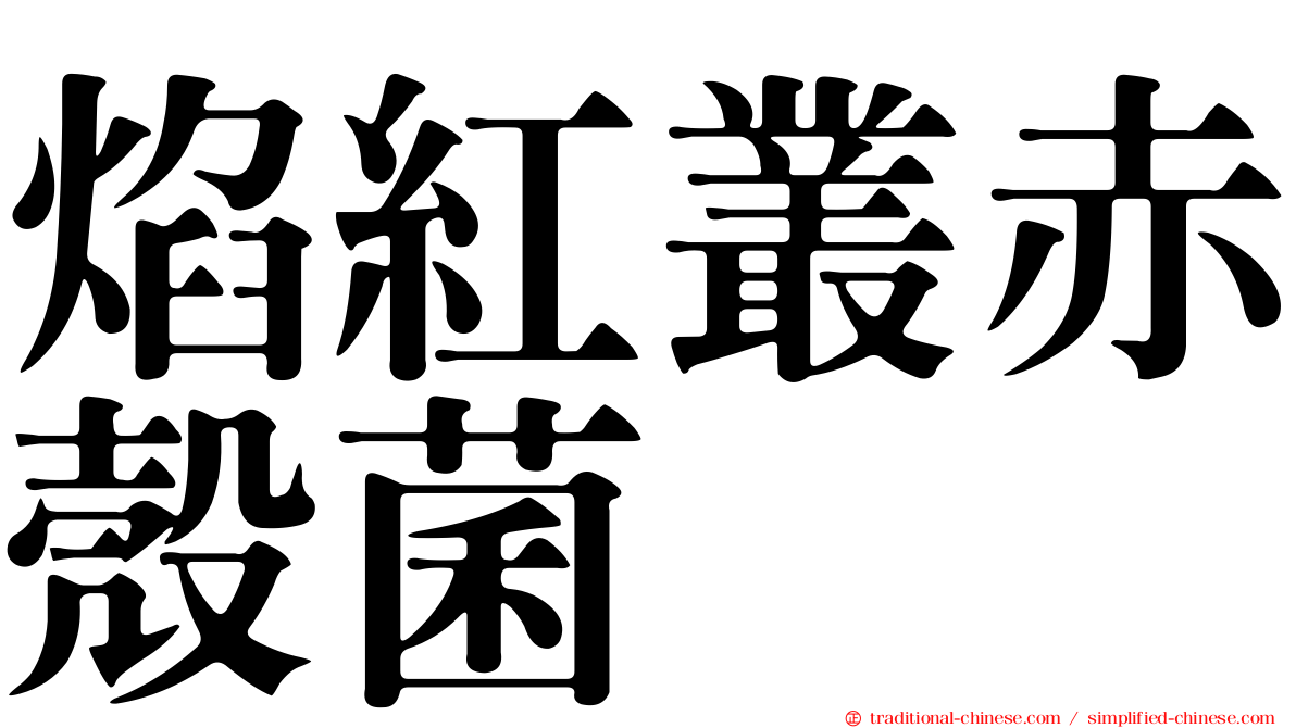 焰紅叢赤殼菌