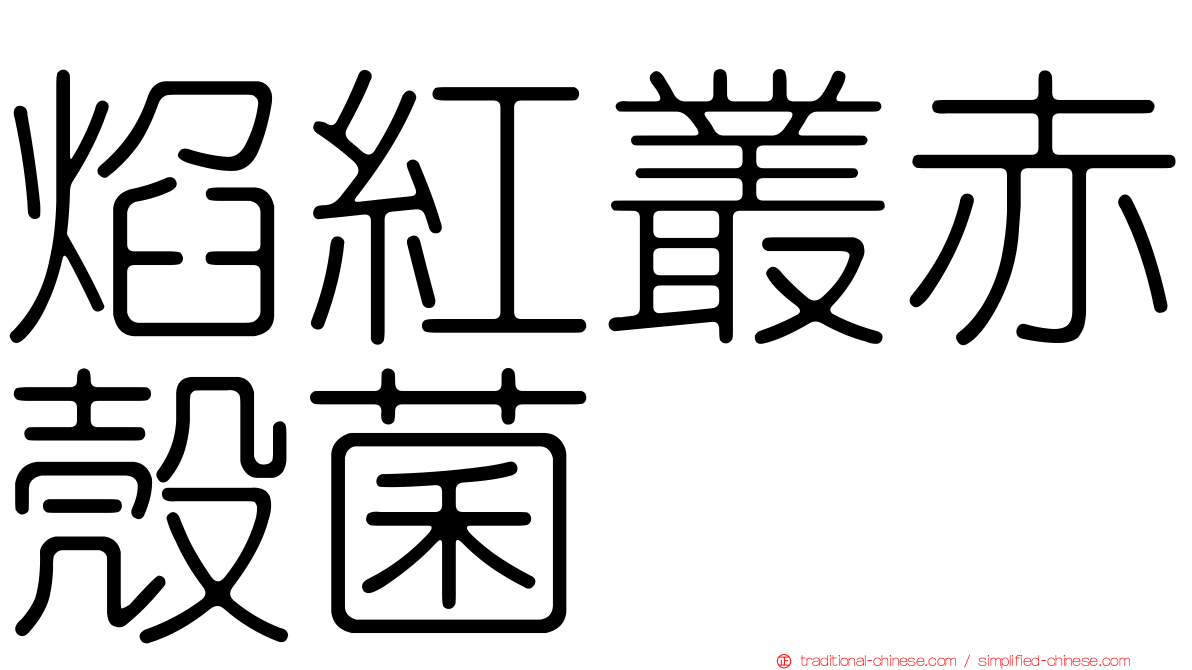 焰紅叢赤殼菌