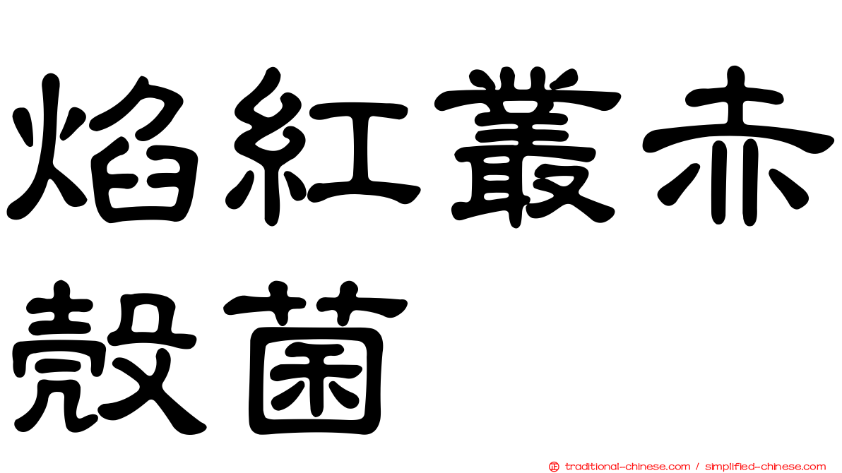 焰紅叢赤殼菌