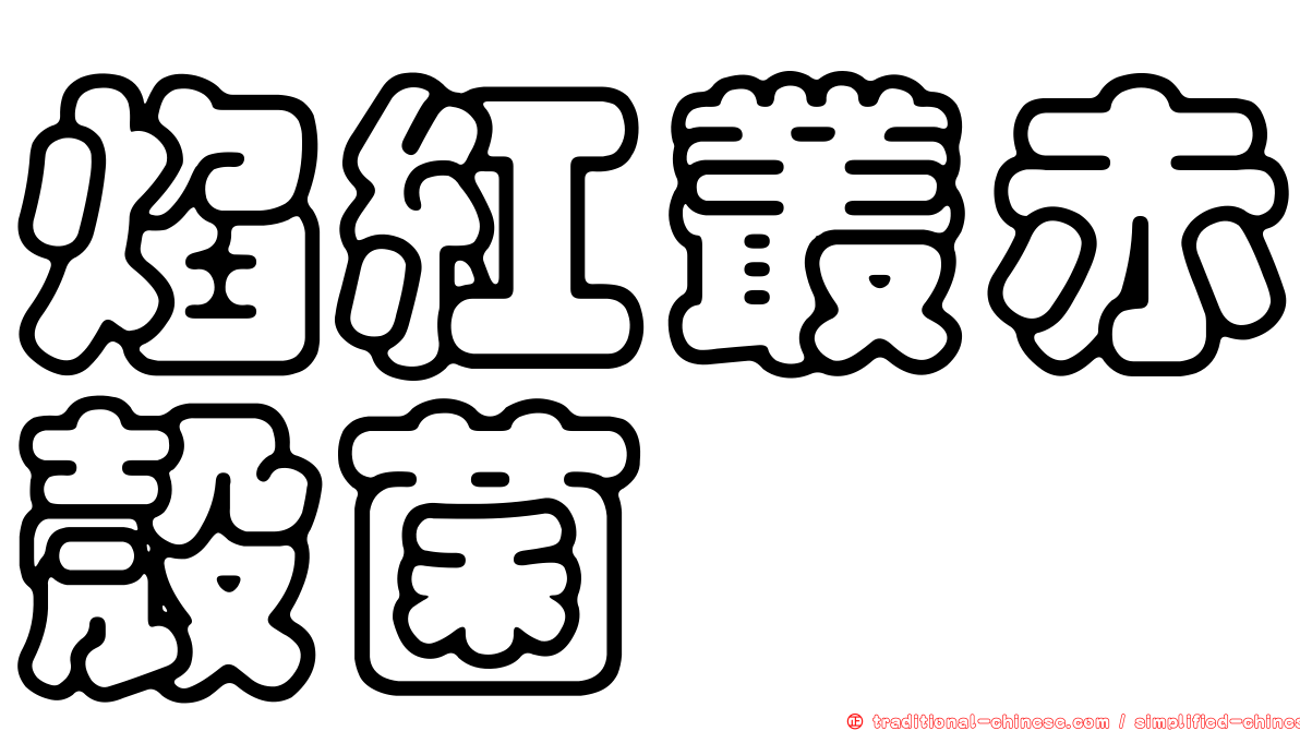 焰紅叢赤殼菌