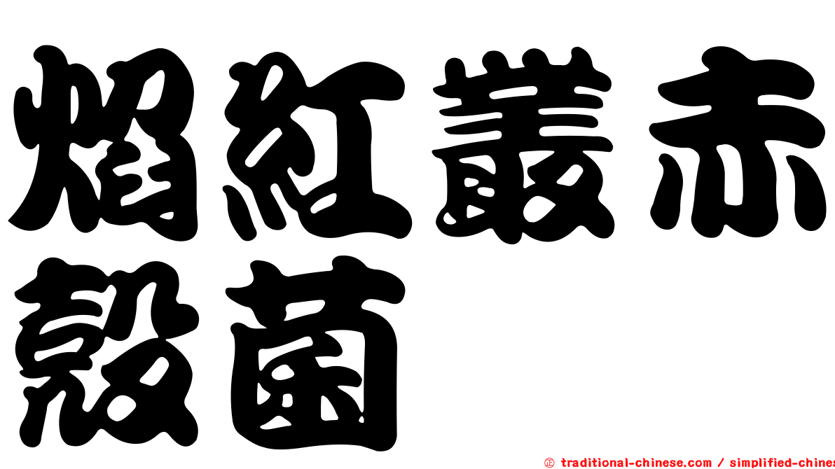 焰紅叢赤殼菌