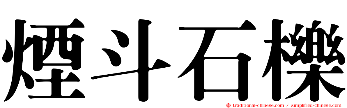 煙斗石櫟