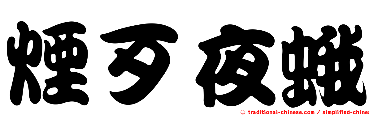 煙歹夜蛾
