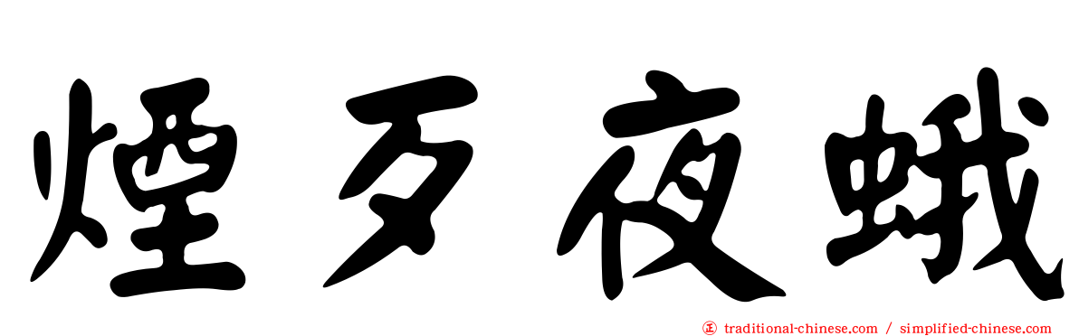 煙歹夜蛾