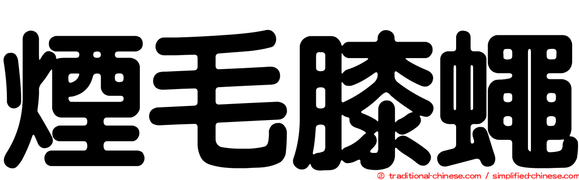 煙毛膝蠅