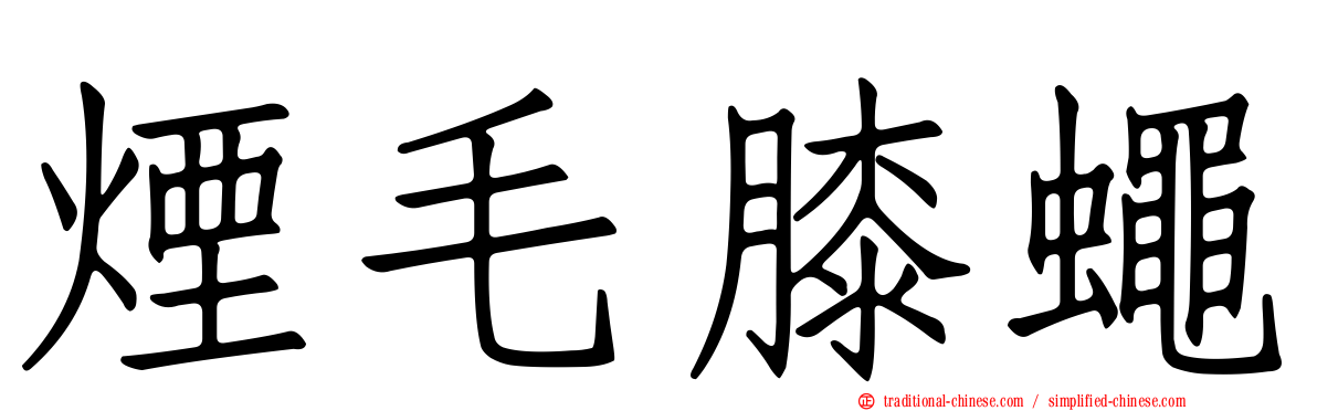 煙毛膝蠅