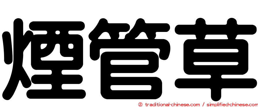 煙管草