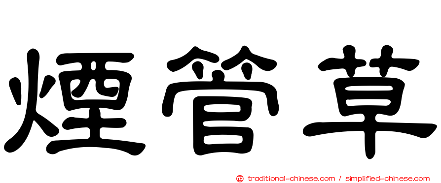 煙管草