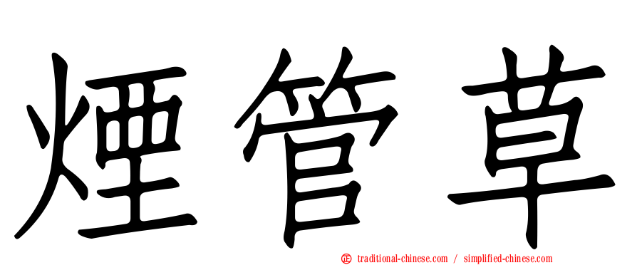 煙管草