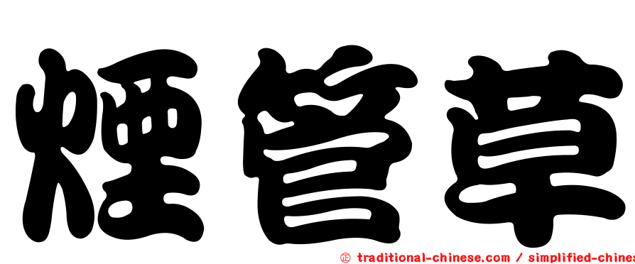 煙管草