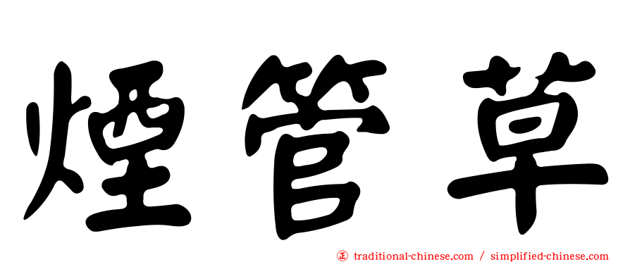 煙管草