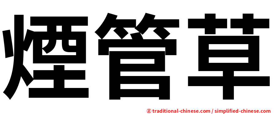 煙管草
