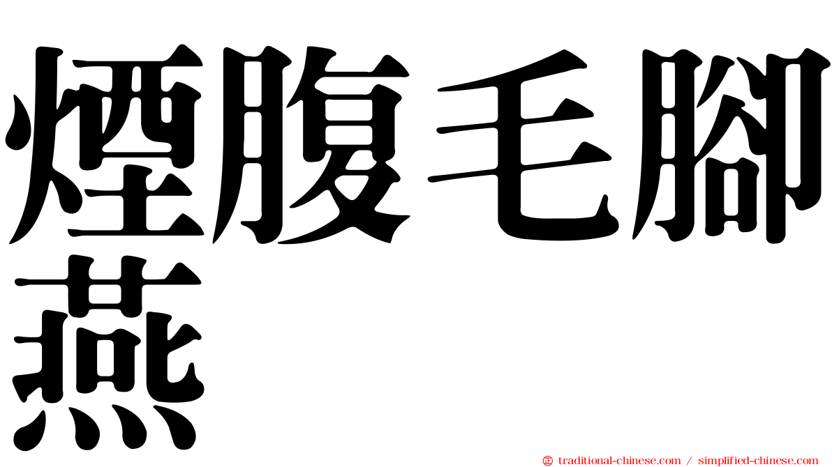 煙腹毛腳燕