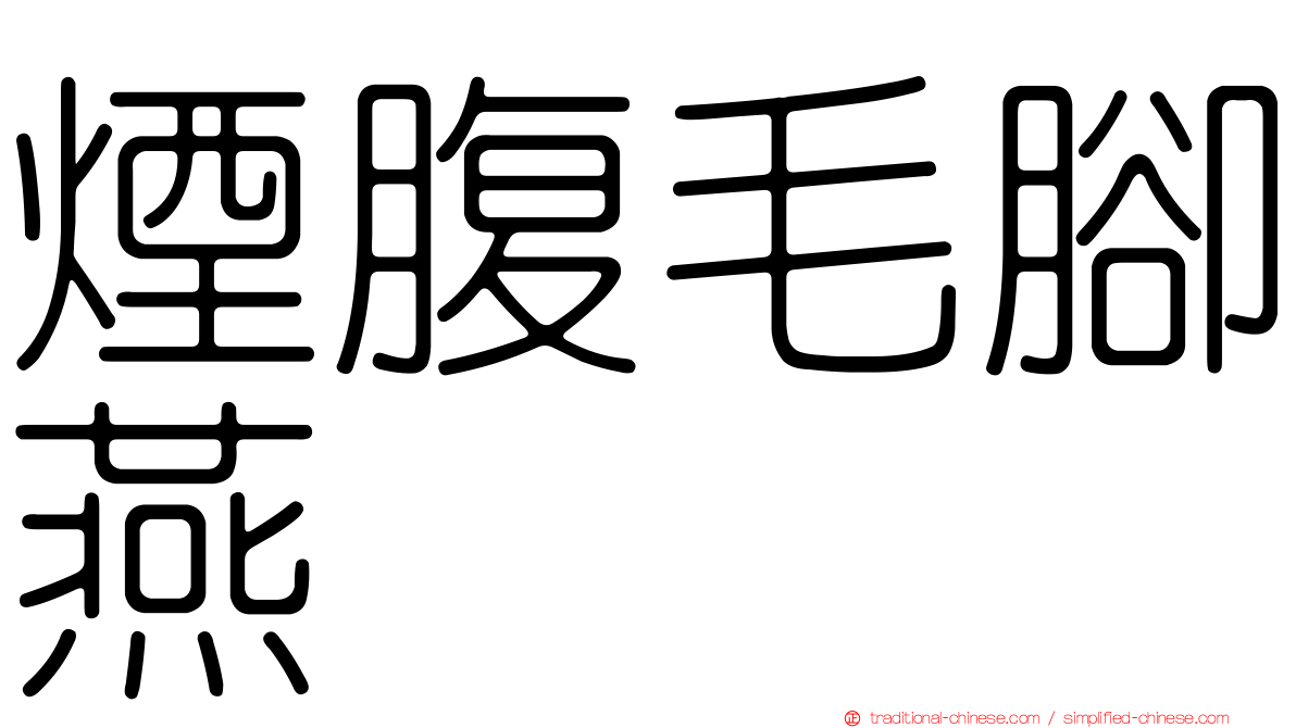 煙腹毛腳燕