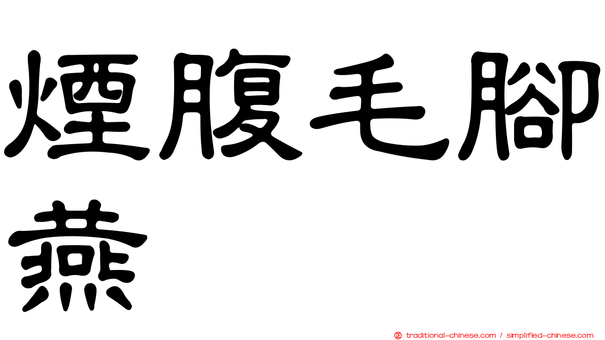 煙腹毛腳燕