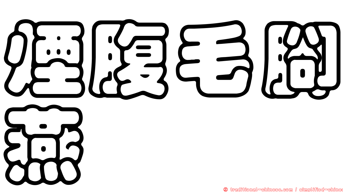 煙腹毛腳燕