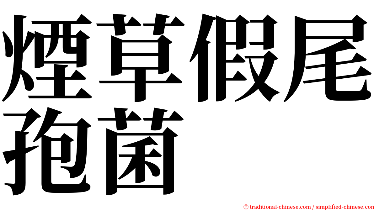 煙草假尾孢菌 serif font