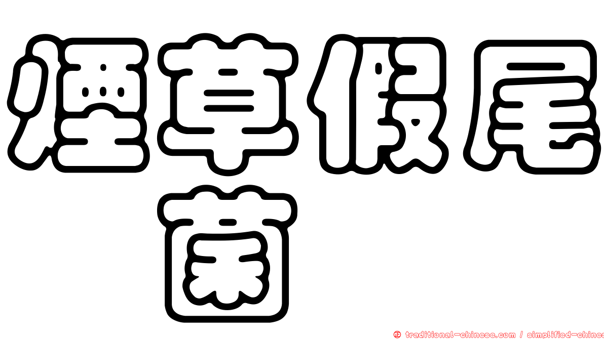 煙草假尾孢菌
