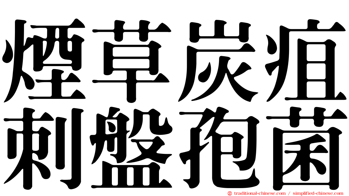 煙草炭疽刺盤孢菌