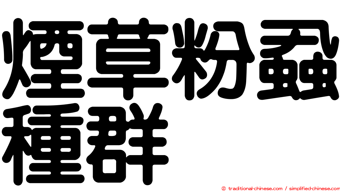 煙草粉蝨種群