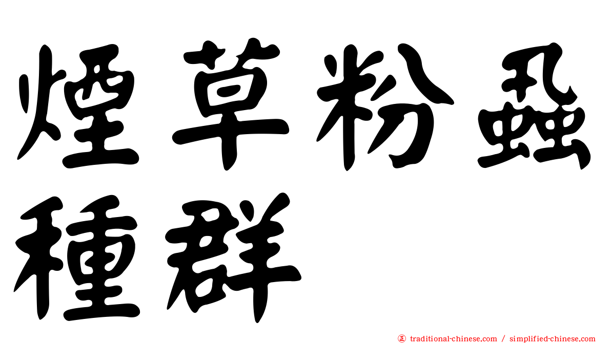 煙草粉蝨種群
