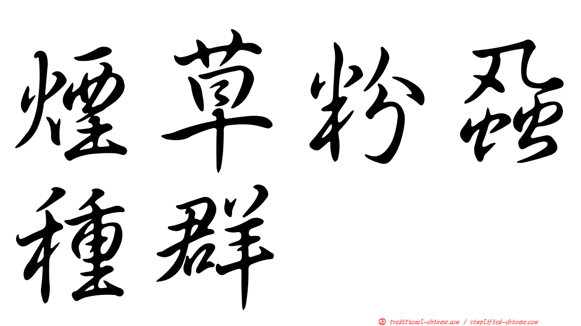煙草粉蝨種群
