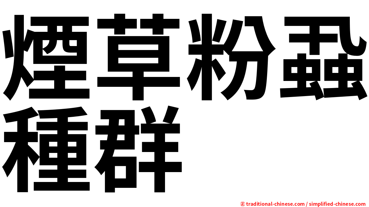 煙草粉蝨種群