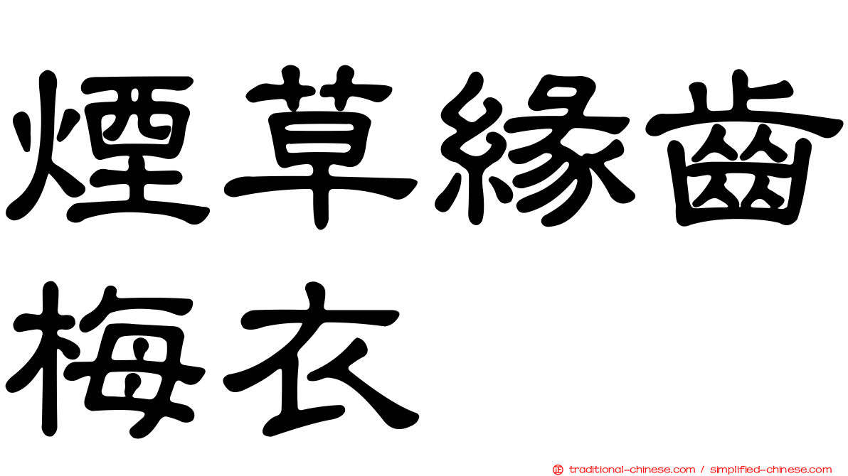 煙草緣齒梅衣