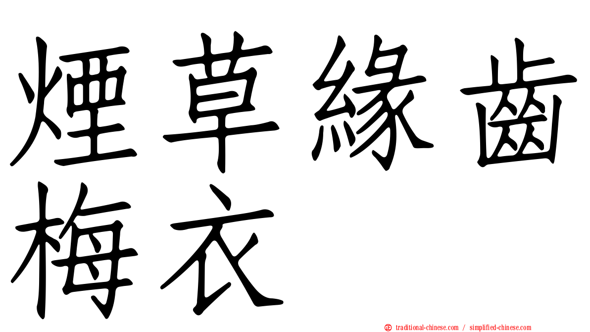 煙草緣齒梅衣