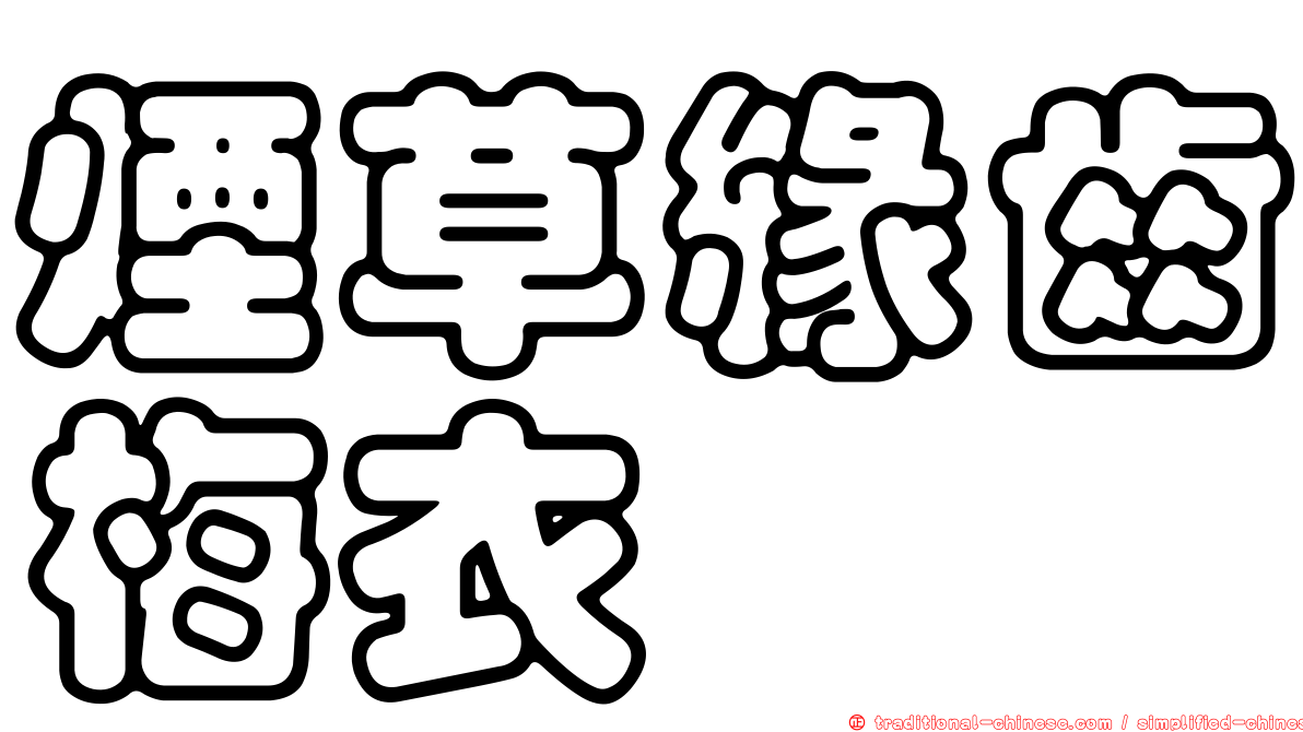 煙草緣齒梅衣
