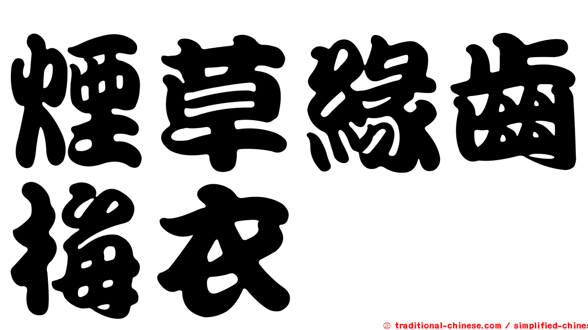 煙草緣齒梅衣