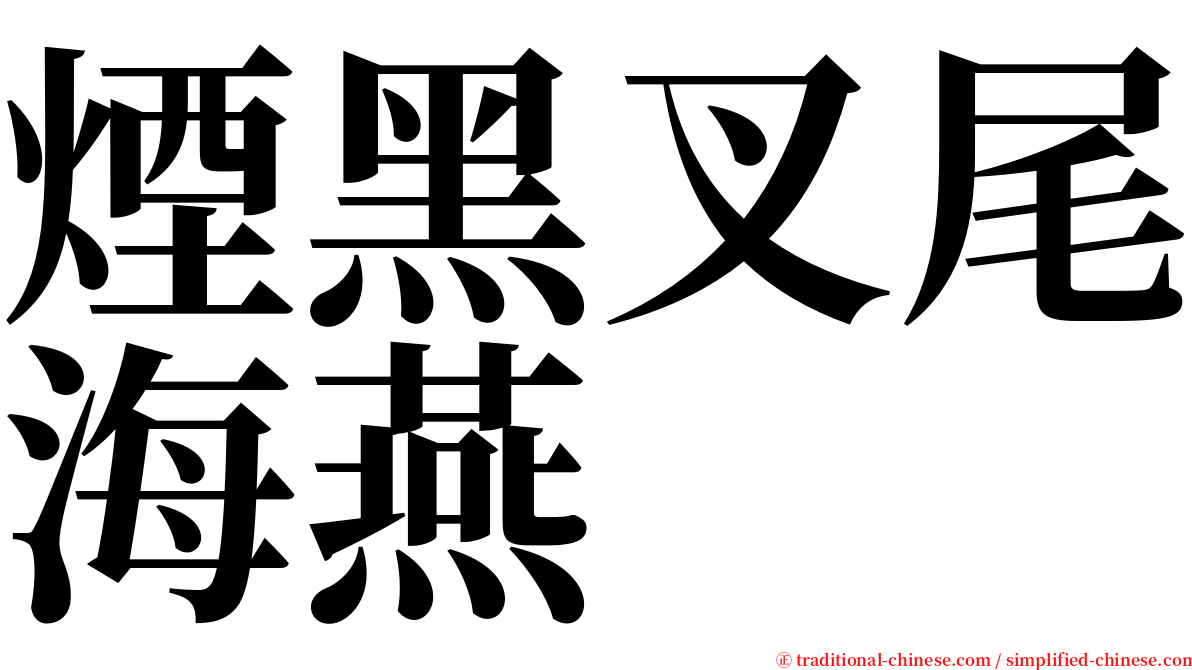 煙黑叉尾海燕 serif font