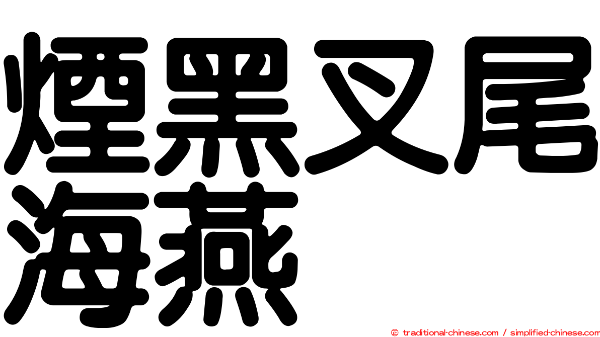 煙黑叉尾海燕