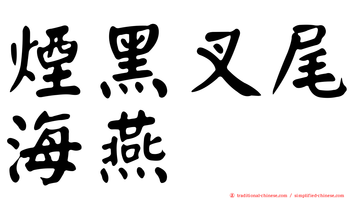 煙黑叉尾海燕