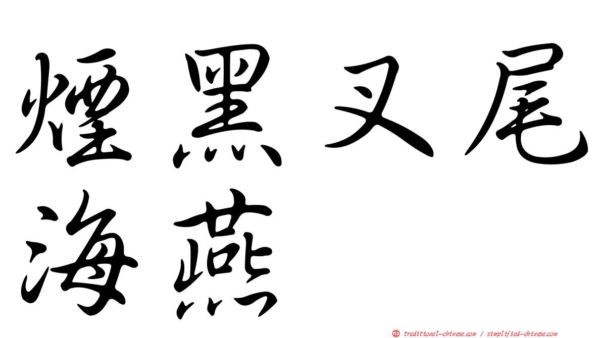 煙黑叉尾海燕
