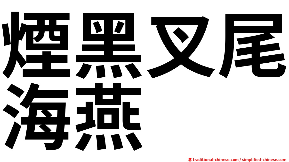 煙黑叉尾海燕