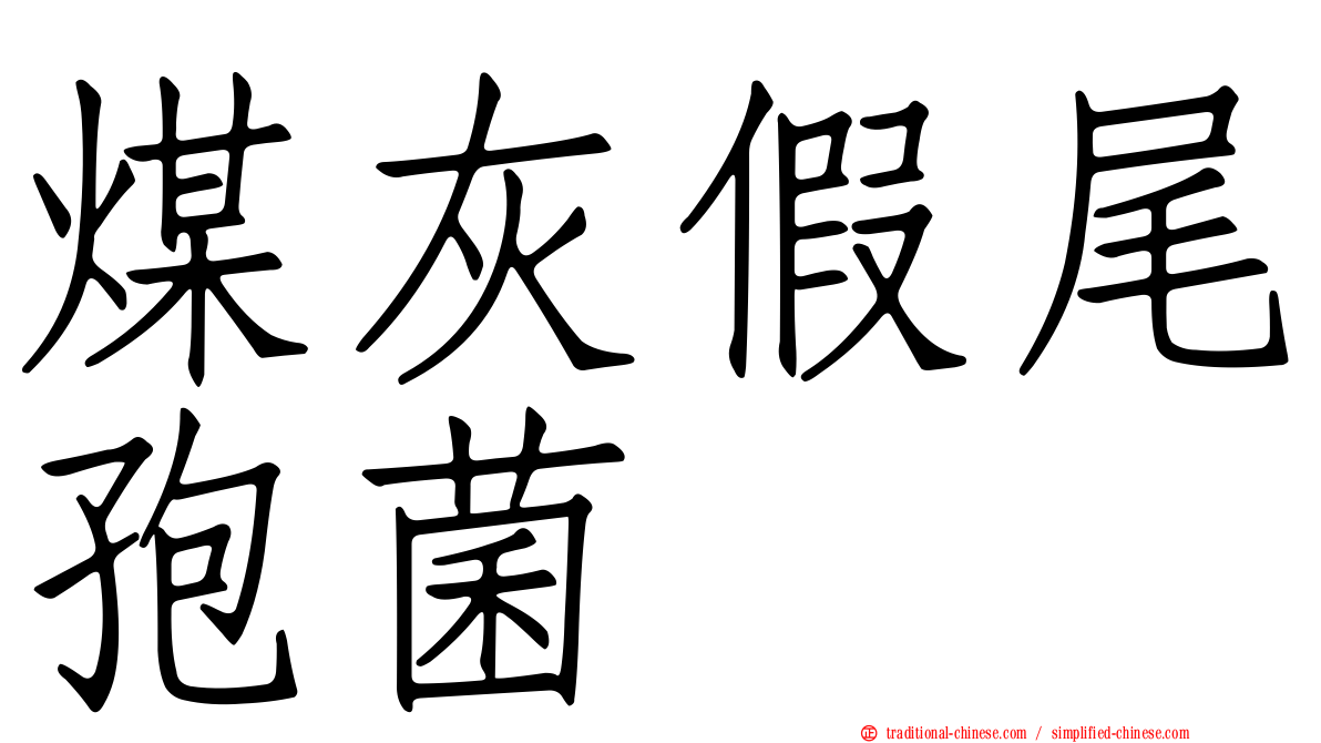 煤灰假尾孢菌