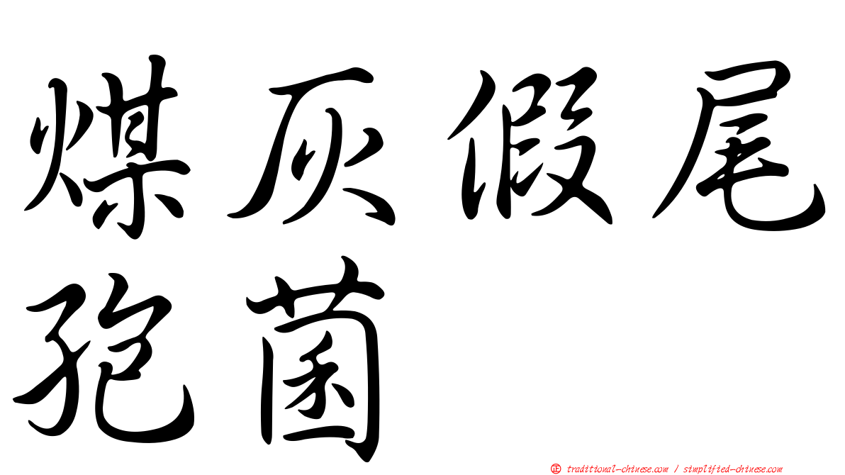 煤灰假尾孢菌