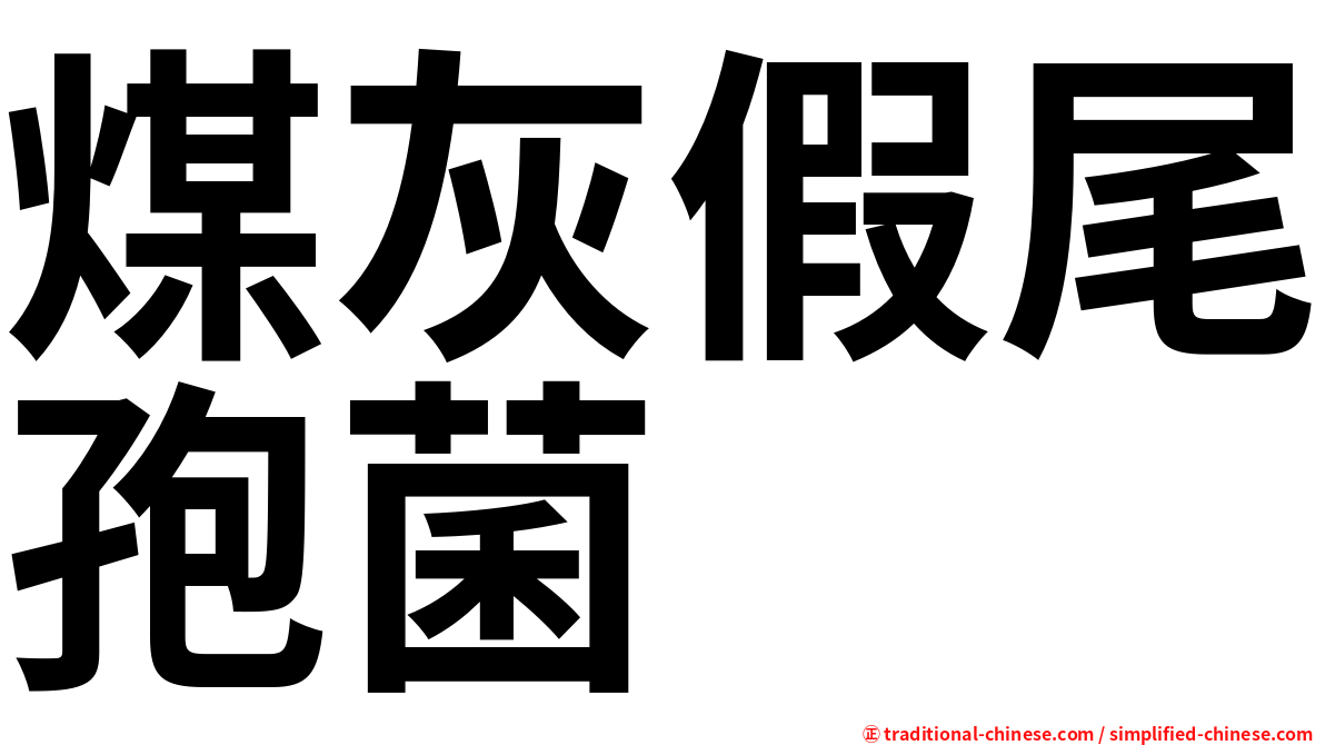 煤灰假尾孢菌