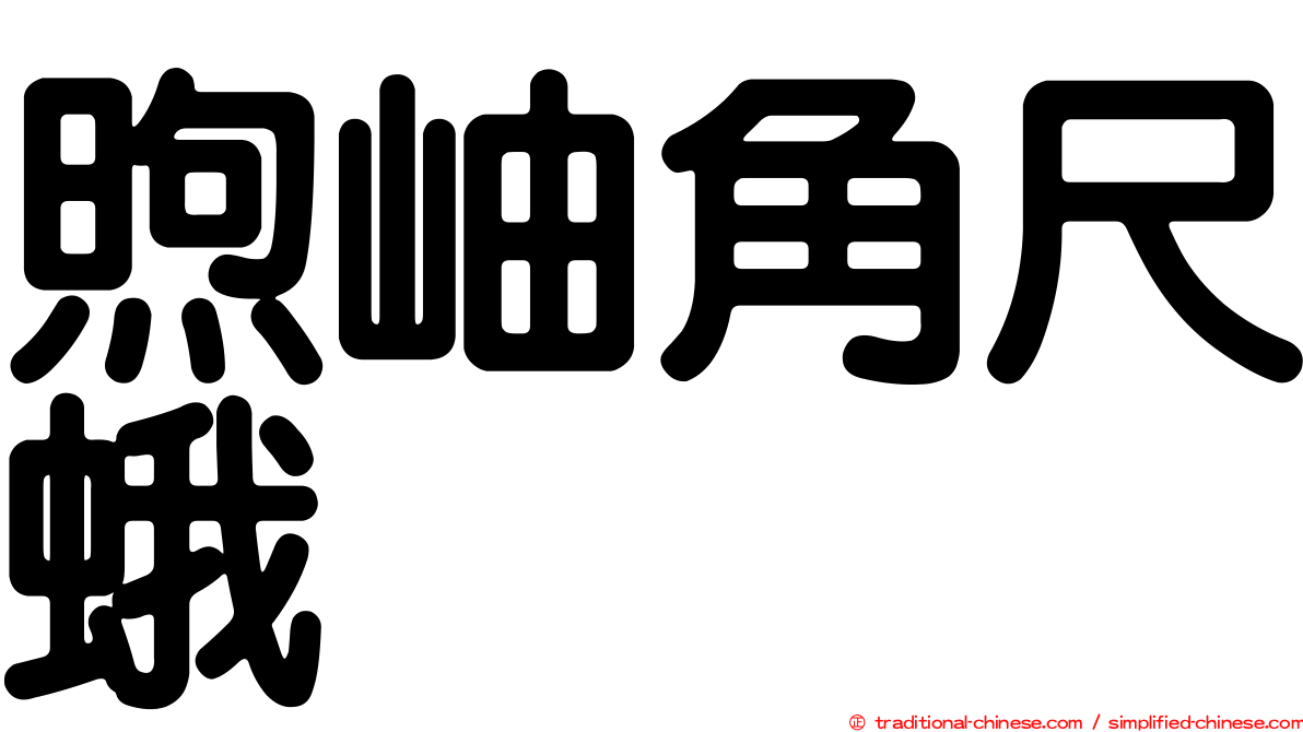 煦岫角尺蛾