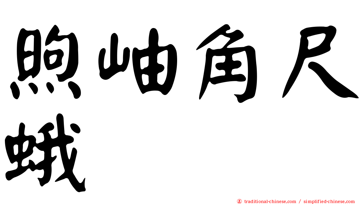 煦岫角尺蛾