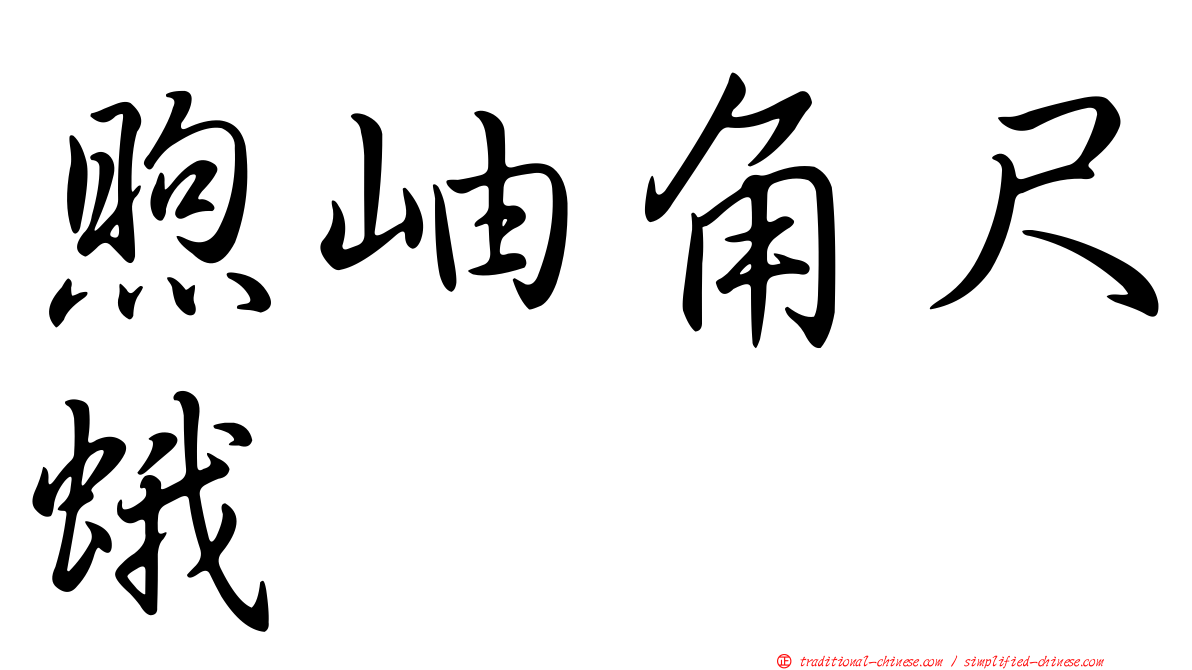 煦岫角尺蛾