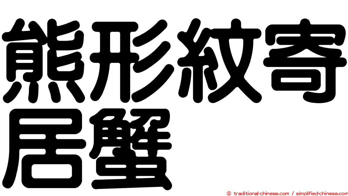 熊形紋寄居蟹