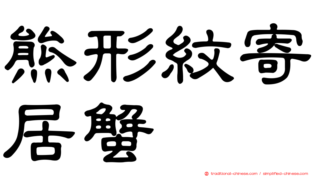 熊形紋寄居蟹