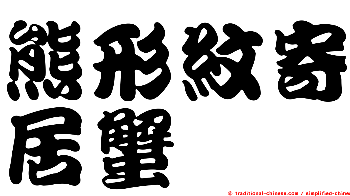 熊形紋寄居蟹