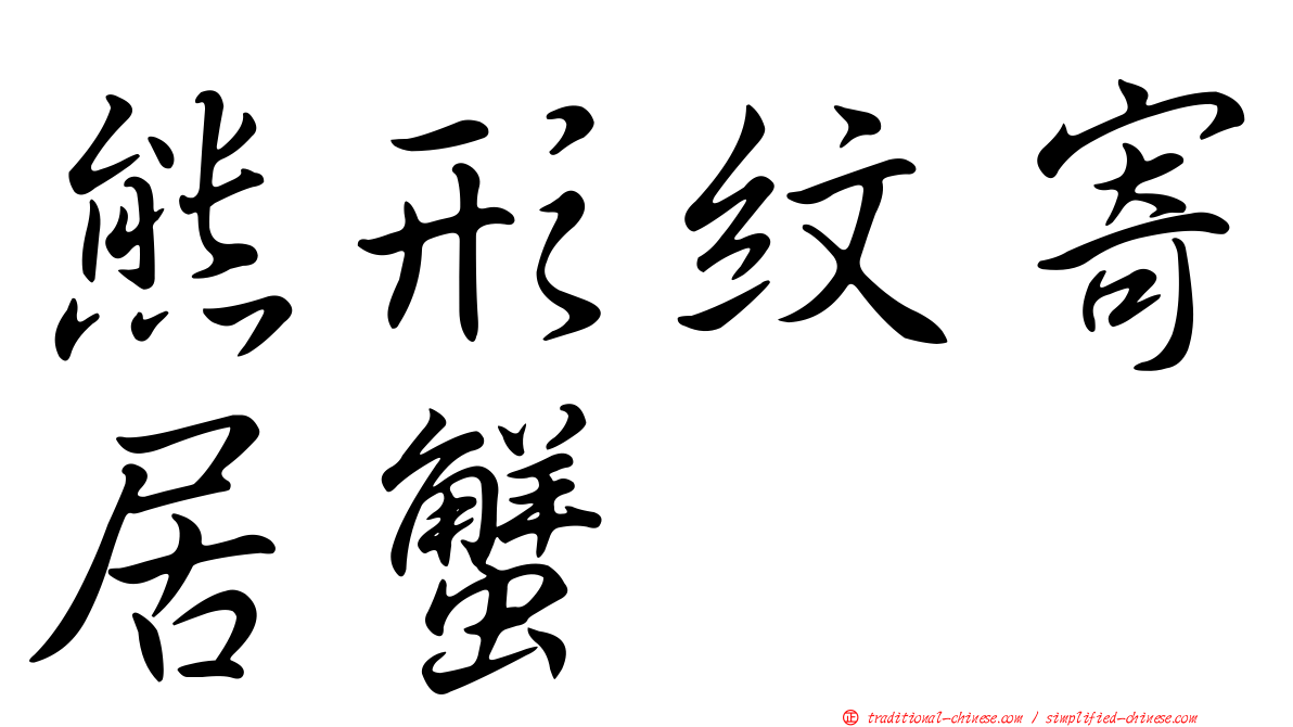 熊形紋寄居蟹