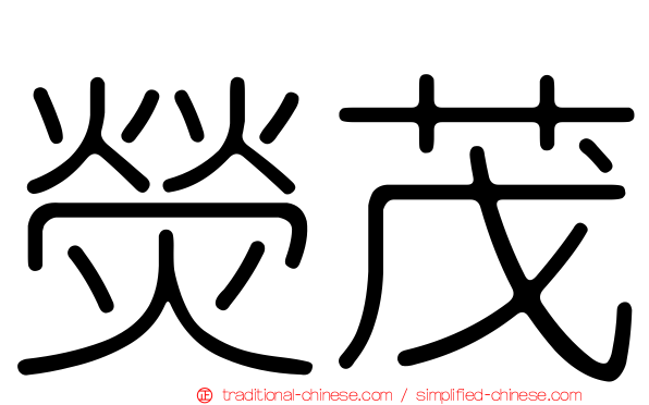 熒茂