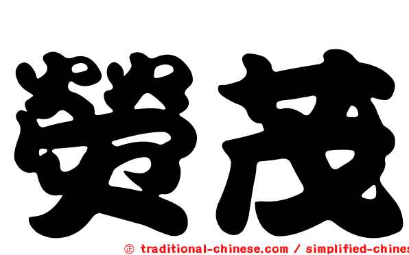 熒茂