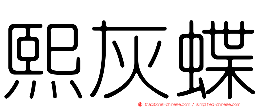 熙灰蝶