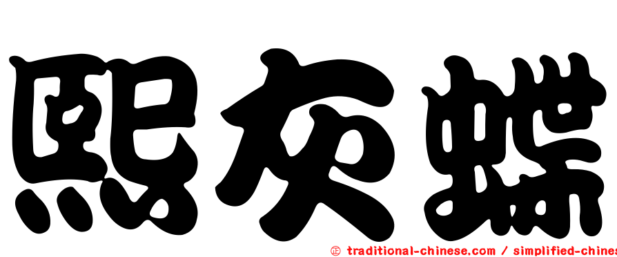熙灰蝶